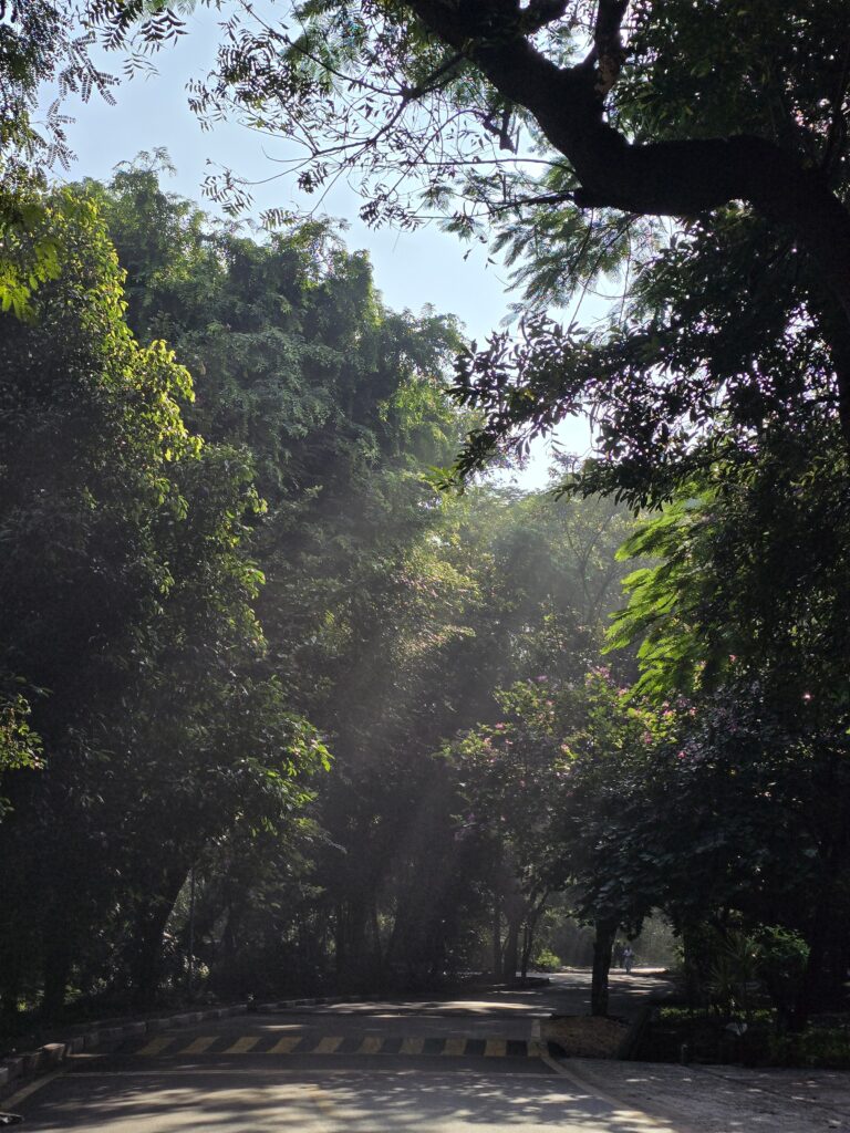 📸 PHOTO COMPETITION – CONTESTANT 01
👤 Name: Dr Neha Kumari
🏛️ Affiliation: MD Resident, College of Medical Sciences 
📝 Caption: The armor against climate chaos protect forests, prevent disaster and protect your lives.