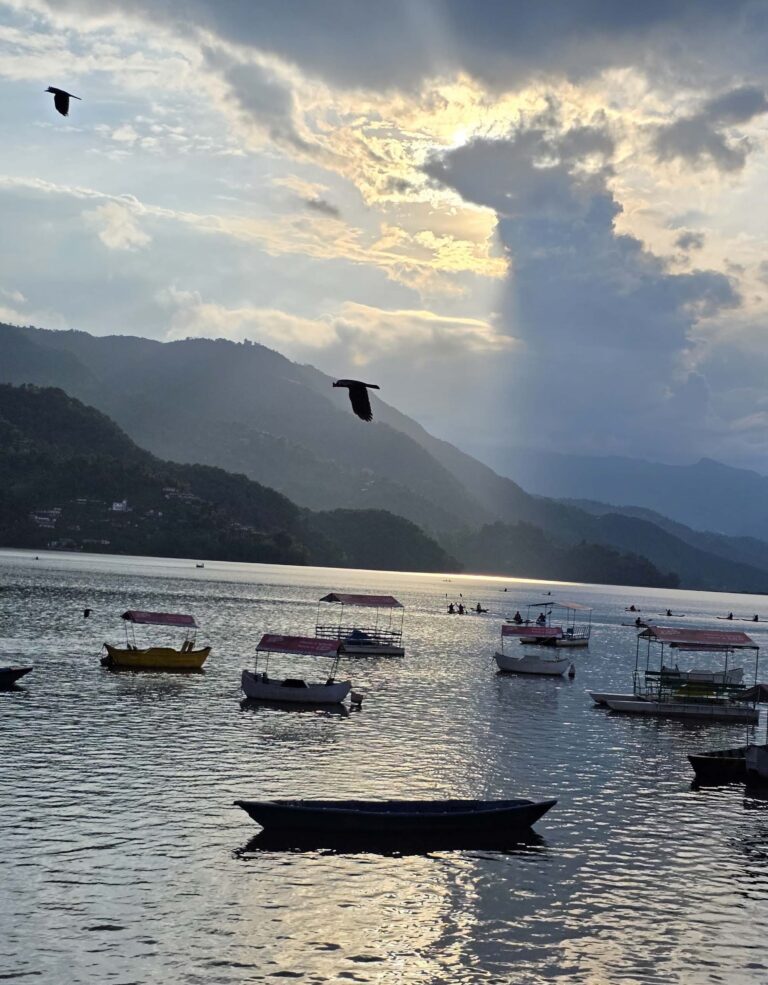 📸 PHOTO COMPETITION – CONTESTANT 03 👤 Name: Dr.Pooja Yadav 🏛️ Affiliation: Resident Doctor (Community Medicine), College of Medical Sciences,Bharatpur Nepal 📝 Caption:  "Nature Under a Changing Climate" (This image shows the interdependence of mountains, water, wildlife, sunlight, and human livelihoods)