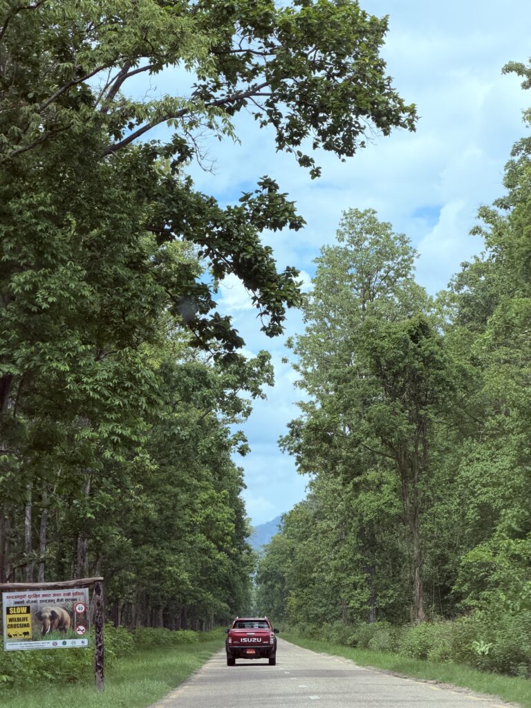 📸 PHOTO COMPETITION – CONTESTANT 04 👤 Name: Dr. Apekshya Chhetri 🏛️ Affiliation: Lecturer, MD Community Medicine, Nepalgunj Medical College  📝 Caption:  Where the road meets the forest and the sky stretches endlessly, nature reminds us to slow down, breathe, and simply take it all in. 🌿 Rules and regulations