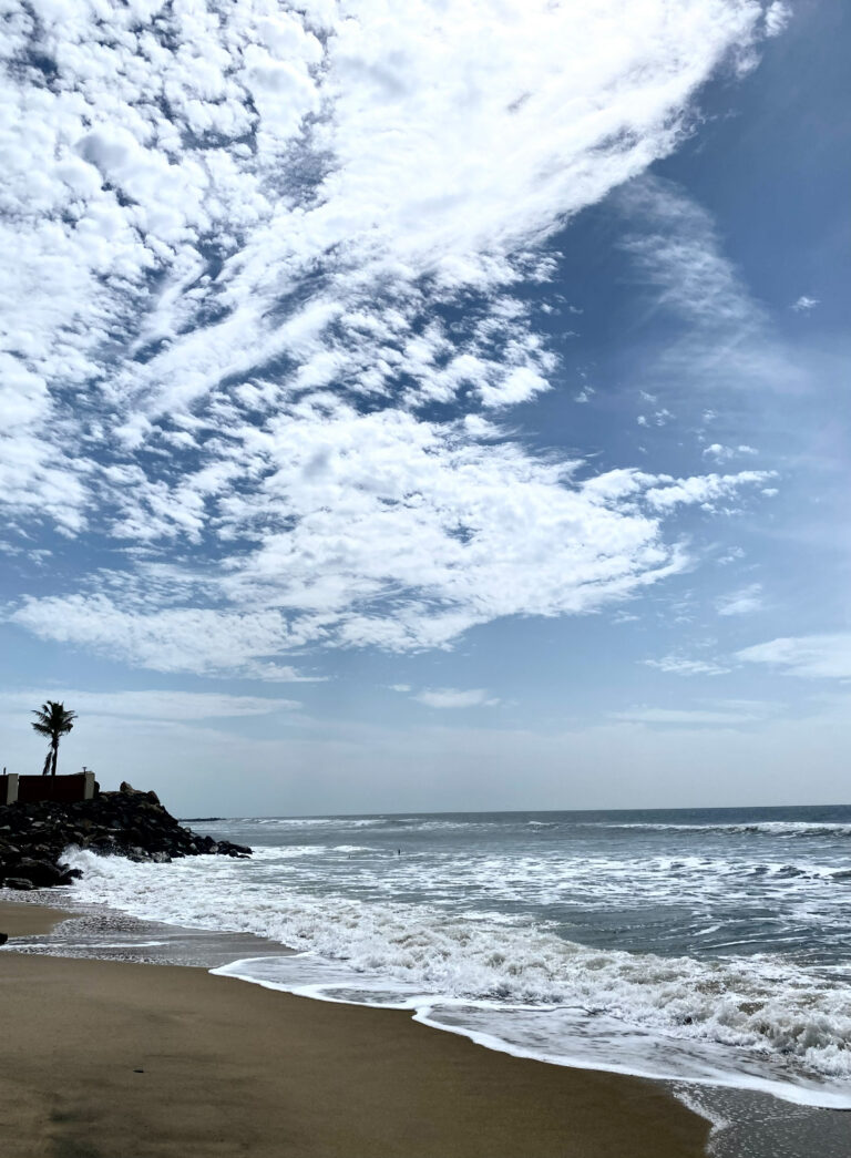 📸 PHOTO COMPETITION – CONTESTANT 05 👤 Name: Sujan Neupane, 🏛️ Affiliation: Resident, College of Medical Sciences  📝 Caption:  Standing Tall Against the Tide. A lone palm tree and a rocky barrier stand firm against a restless sea under a changing sky. This image symbolizes the core of our global challenge: the pressing reality of climate change testing our coastal defenses. It reminds us that building disaster resilience requires a blend of natural strength and innovative engineering to secure a healthier, safer future for communities on the frontline of environmental change. (Pic: Kovalam Beach, Chennai. CMC Vellore Diaries )