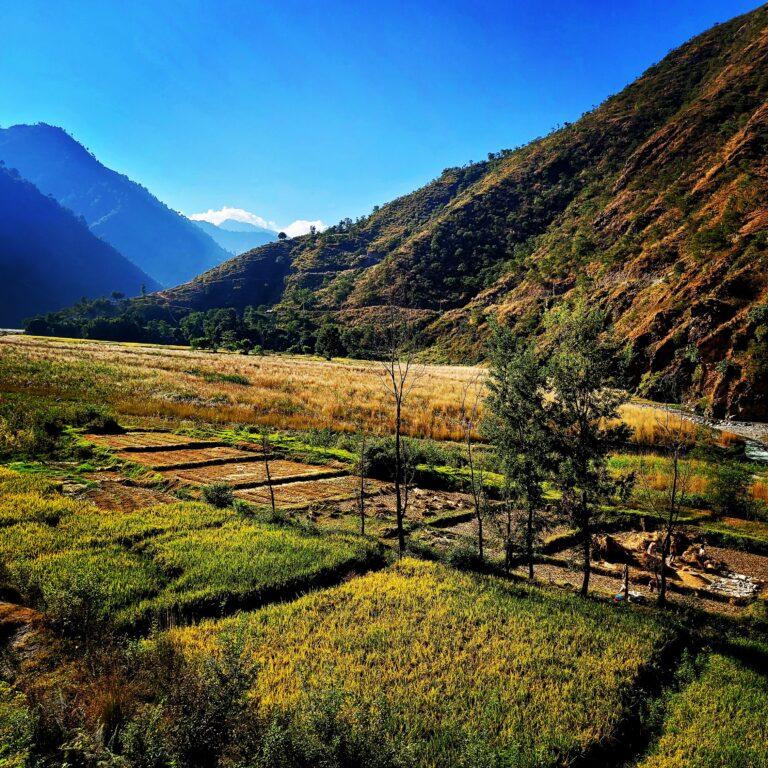 📸 PHOTO COMPETITION – CONTESTANT 07 👤 Name: Amit Jha 🏛️ Affiliation: Associate Professor, Dept of ENT, Janaki Medical College  📝 Caption:  Adjust or Perish: You do not tame nature, you submit yourself to it. Description: Can you guess where is it? It's the banks of the Roshi river. I used to drive occasionally along BP Highway. Years ago, Roshi meandered along the highway. There were multiple spots where one would stop and immerse in the view. Then comes the wrath of nature and what remains is moraine. Nature would not adjust to our needs. We need to adjust to nature's direction. I wish to drive again along this river and savour the beauty of the nature.